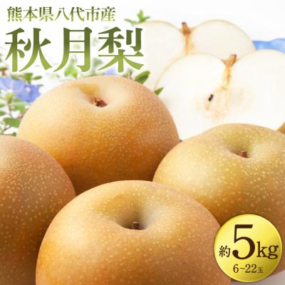 ふるさと納税 八代市 [先行予約]秋月梨 約5kg(6〜22玉)[2026年8月下旬より順次発送]_171-4411-D