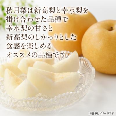 ふるさと納税 八代市 【先行予約】秋月梨 約5kg(6〜22玉)【2026年8月下旬より順次発送】_171-4411-D_1