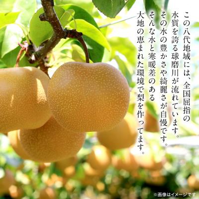 ふるさと納税 八代市 【先行予約】秋月梨 約5kg(6〜22玉)【2026年8月下旬より順次発送】_171-4411-D_2