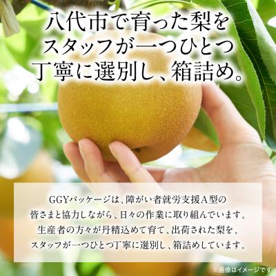 ふるさと納税 八代市 【先行予約】秋月梨 約5kg(6〜22玉)【2026年8月下旬より順次発送】_171-4411-D_3