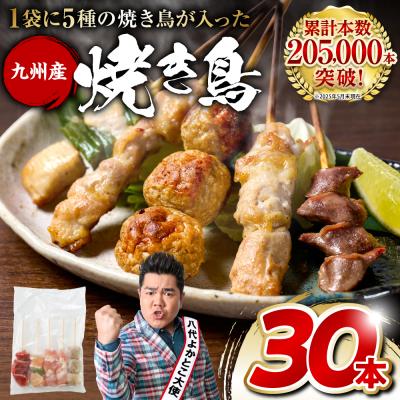 ふるさと納税 八代市 やきとり5種 30本セット お試しサイズ! 