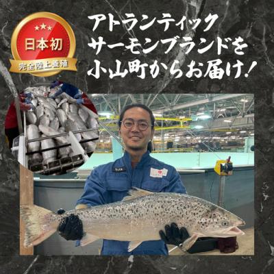 ふるさと納税 小山町 【訳あり】サーモン 小分け お刺身用 約1kg |  | 02