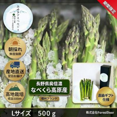 ふるさと納税 _飯山市 [期間限定]アスパラガス みゆきアスペルジュ Lサイズ 500g入り(12〜14本)