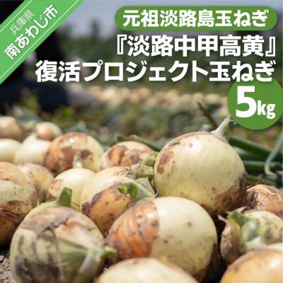 ふるさと納税 南あわじ市 元祖淡路島玉ねぎ『淡路中甲高黄』復活プロジェクト 玉ねぎ5kg
