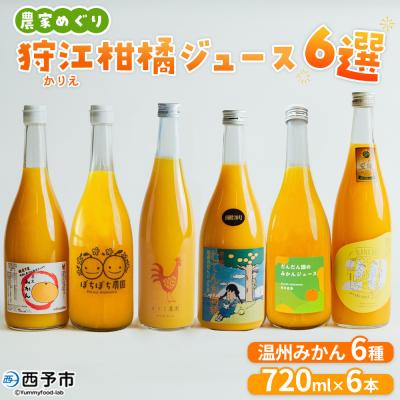 ふるさと納税 西予市 <農家めぐり 狩江柑橘ジュース 6選(温州みかん)> 温州みかん 南柑20号 愛媛