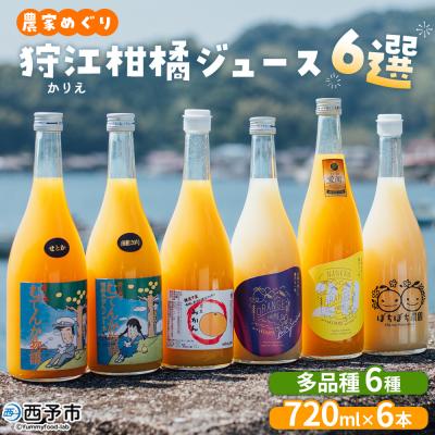 ふるさと納税 西予市 <農家めぐり 狩江柑橘ジュース 6選(多品種)> 多品種 アソート 愛媛県産