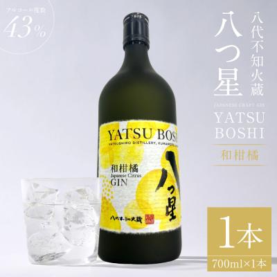 ふるさと納税 八代市 八代不知火蔵「八つ星・和柑橘(クラフトジン)」700ml×1本