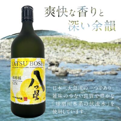 ふるさと納税 八代市 八代不知火蔵「八つ星・和柑橘(クラフトジン