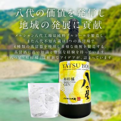 ふるさと納税 八代市 八代不知火蔵「八つ星・和柑橘(クラフトジン)」700ml×1本_133-6473 |  | 02