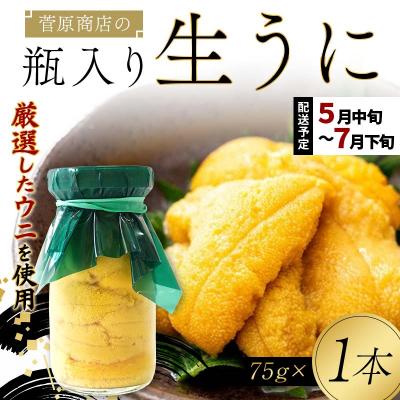ふるさと納税 山田町 [発祥の地]三陸山田 牛乳瓶入り生うに [先行予約]75g×1本 令和8年5月中旬以降発送