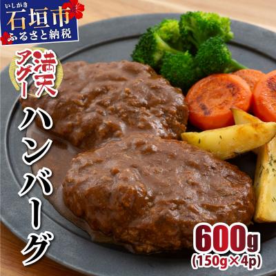ふるさと納税 石垣市 満天アグー 2種セット (ハンバーグ 150g×2 ウインナー 200g×2)