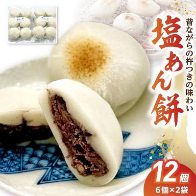 ふるさと納税 天草市 昔ながらの杵つきの味わい「塩あん餅」12個