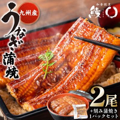 ふるさと納税 八代市 鰻丸(うなまる) 九州産 うなぎ蒲焼き2尾 &amp; 刻み蒲焼き1パックセット