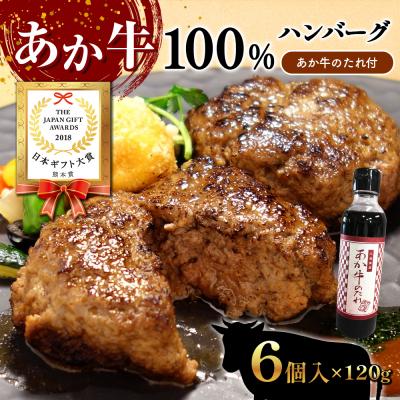 ふるさと納税 八代市 あか牛100%ハンバーグセット あか牛ハンバーグ120g×6個、たれ200ml_153-4381-B