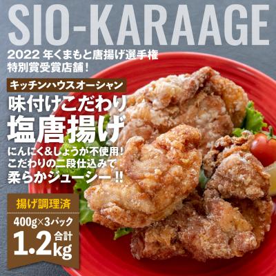 ふるさと納税 八代市 味付け こだわり 塩唐揚げ 計1.2kg ジューシー お肉 唐揚げ_223-4949-B