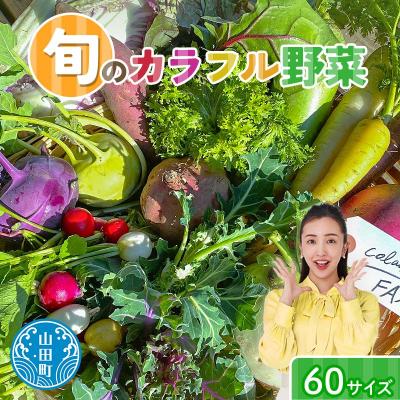 ふるさと納税 山田町 [数量限定]三陸山田産 カラフル 野菜 詰め合わせ 令和8年5月中旬以降発送 60サイズ