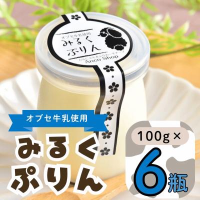 ふるさと納税 飯山市 [冷蔵発送]みるくぷりん 6個セット