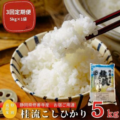 ふるさと納税 伊豆市 定期便(全3回)修善寺桂流こしひかり5kg[ コシヒカリ 白米 お米 精米 国産 米 ごはん 特別