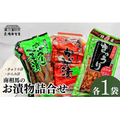 ふるさと納税 南相馬市 南相馬のお漬物詰合せ(きゅうり、からみ漬)|おつまみ 漬物 黒潮海苔店