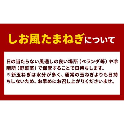 ふるさと納税 笠岡市 しお風 新たまねぎ 15kg 大きさ不揃い《5月中旬-6月上旬頃出荷》岡山県 笠岡市の画像
