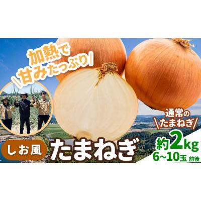 ふるさと納税 笠岡市 しお風 たまねぎ 2kg 大きさ不揃い[6月上旬-6月末頃出荷]岡山県 笠岡市