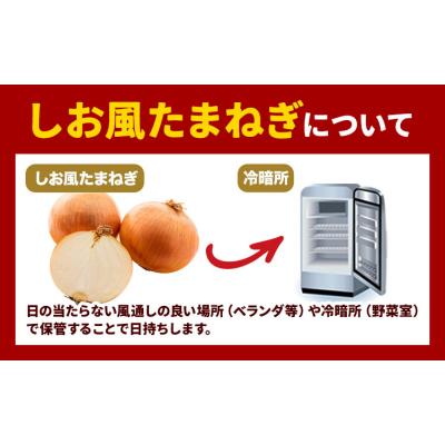 ふるさと納税 笠岡市 しお風 たまねぎ 15kg 大きさ不揃い《6月上旬-6月末頃出荷》岡山県 笠岡市の画像