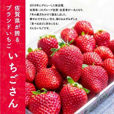 ふるさと納税 神埼市 冷凍いちご(いちごさん)2kg(500g×4)(H116230