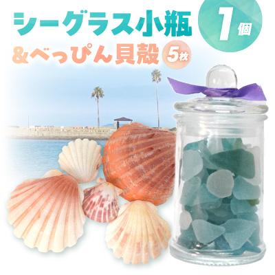 ふるさと納税 天草市 シーグラスとべっぴん貝殻のセット