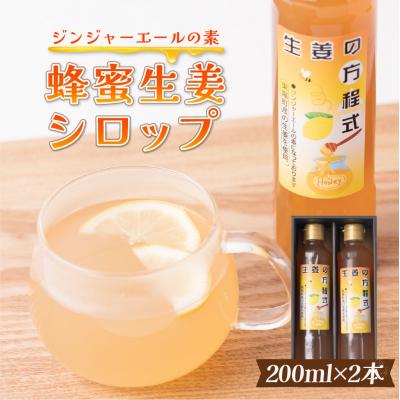 ふるさと納税 八代市 生姜の方程式 合計400ml (200ml×2本) 蜂蜜生姜シロップ_065-4713-C