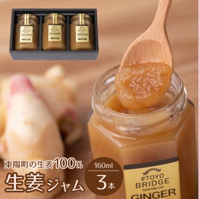 ふるさと納税 八代市 東陽町の生姜100% 生姜ジャム3本セット合計480ml (160ml×3本)_065-4922-C