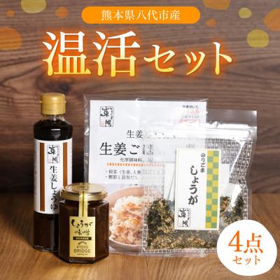 ふるさと納税 八代市 温活セット 生姜を使った加工品4点セット 生姜 温活_065-6332-A