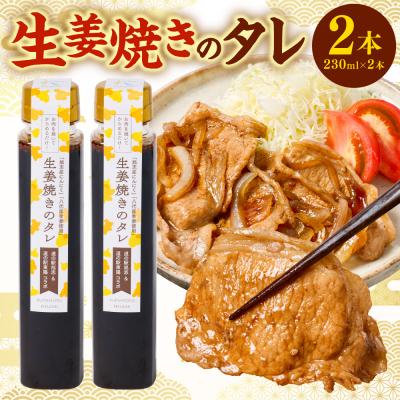 ふるさと納税 八代市 生姜焼きのたれ 2本セット