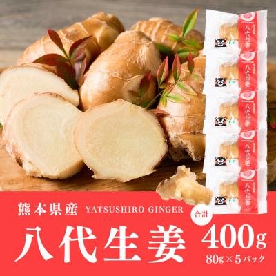 ふるさと納税 八代市 八代生姜80g×5パック 合計400g