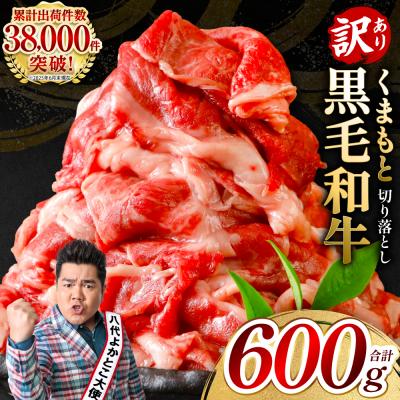 ふるさと納税 八代市 [訳あり] くまもと黒毛和牛 切り落とし 600g(300g×2) 黒毛和牛_067-6064-A