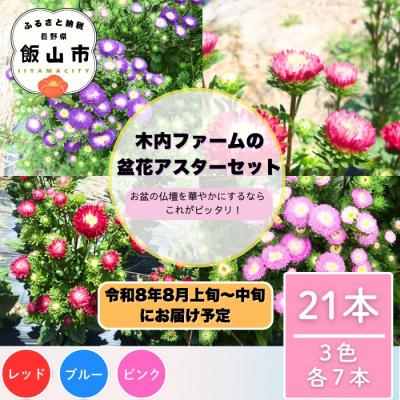 ふるさと納税 _飯山市 [期間限定]盆花 アスター 奥信濃飯山〜木内ファームの盆花アスター21本セット〜