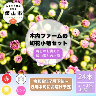 ふるさと納税 飯山市 [期間限定]小菊 切り花 奥信濃飯山 〜木内ファームの切花小菊24本セット〜