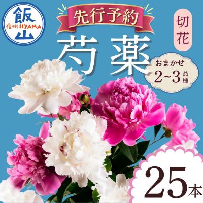 ふるさと納税 飯山市 【先行予約】芍薬 切花 おまかせ2〜3品種 25本セット | 木内ファーム | 