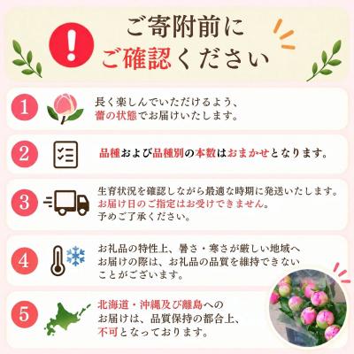 ふるさと納税 飯山市 【先行予約】芍薬 切花 おまかせ2〜3品種 25本セット | 木内ファーム |  | 01