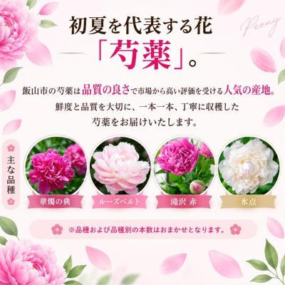 ふるさと納税 飯山市 【先行予約】芍薬 切花 おまかせ2〜3品種 25本セット | 木内ファーム |  | 02