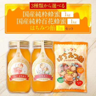 ふるさと納税 八代市 国産 純粋りんご蜂蜜 1kg 百花蜂蜜 1kg 蜂蜜あめ 1袋_058-5183-ringo-A