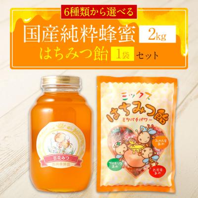 ふるさと納税 八代市 国産 純粋 あかしあ蜂蜜 2kg 蜂蜜あめ 1袋 はちみつ_058-5184-akashia-A