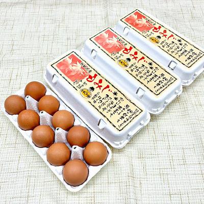 ふるさと納税 秋田市 定期便4回 純国産鶏種 卵『もみじ』27個+欠けら言いはなつ3個 10個×3P|15_tyt-020304