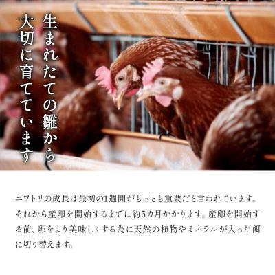 ふるさと納税 秋田市 定期便4回 純国産鶏種 卵『もみじ』27個+欠けら言いはなつ3個 10個×3P|15_tyt-020304