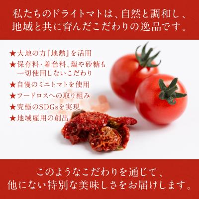 ふるさと納税 八代市 【先行予約】 地熱ドライトマト 30g×2袋 トマト 熊本県産 八代市産_075-6045 |  | 02