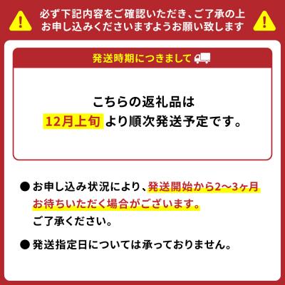 ふるさと納税 八代市 【先行予約】野菜ソムリエ岡田健志郎が育てた ミニトマト 1.2kg_075-6229-B |  | 01