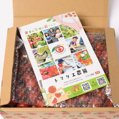 ふるさと納税 八代市 【先行予約】野菜ソムリエ岡田健志郎が育てた ミニトマト 1.2kg_075-6229-B |  | 02