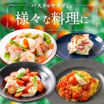 ふるさと納税 八代市 【先行予約】野菜ソムリエ岡田健志郎が育てた ミニトマト 1.2kg_075-6229-B |  | 03