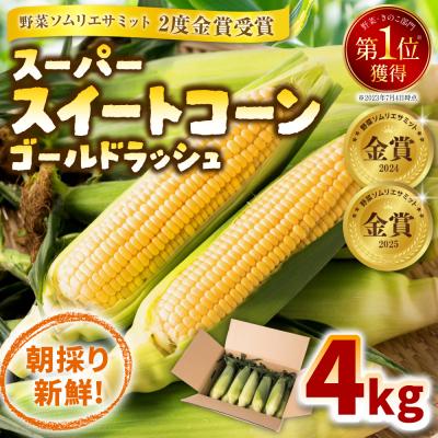 ふるさと納税 八代市 [先行予約]八代産スーパースイートコーン4kg[2026年5月上旬より発送]_083-3196-C