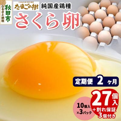 ふるさと納税 秋田市 定期便2回 純国産鶏種 卵 『さくら』27個+割れ保証3個 10個×3P|15_tyt-030302