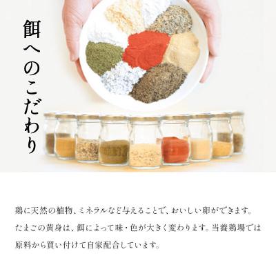 ふるさと納税 秋田市 定期便12回 純国産鶏種 卵『さくら』36個+割れ保証4個 10個×4P|15_tyt-030412_3